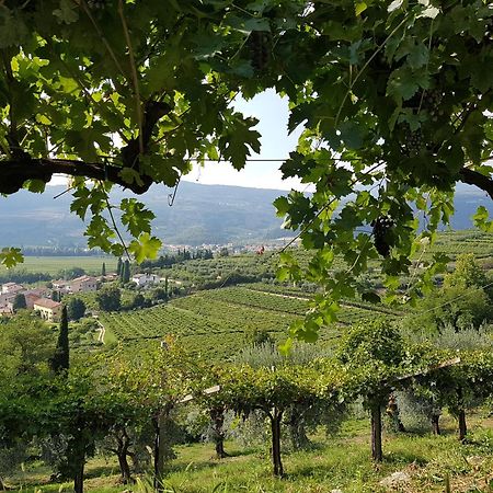 Agriturismo Valentina Cubi Фумане Екстер'єр фото