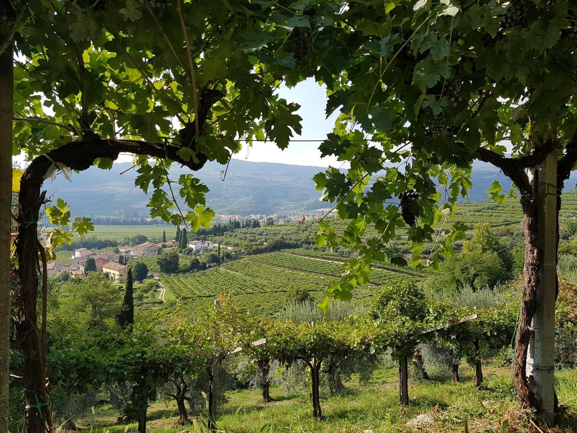 Agriturismo Valentina Cubi Фумане Екстер'єр фото