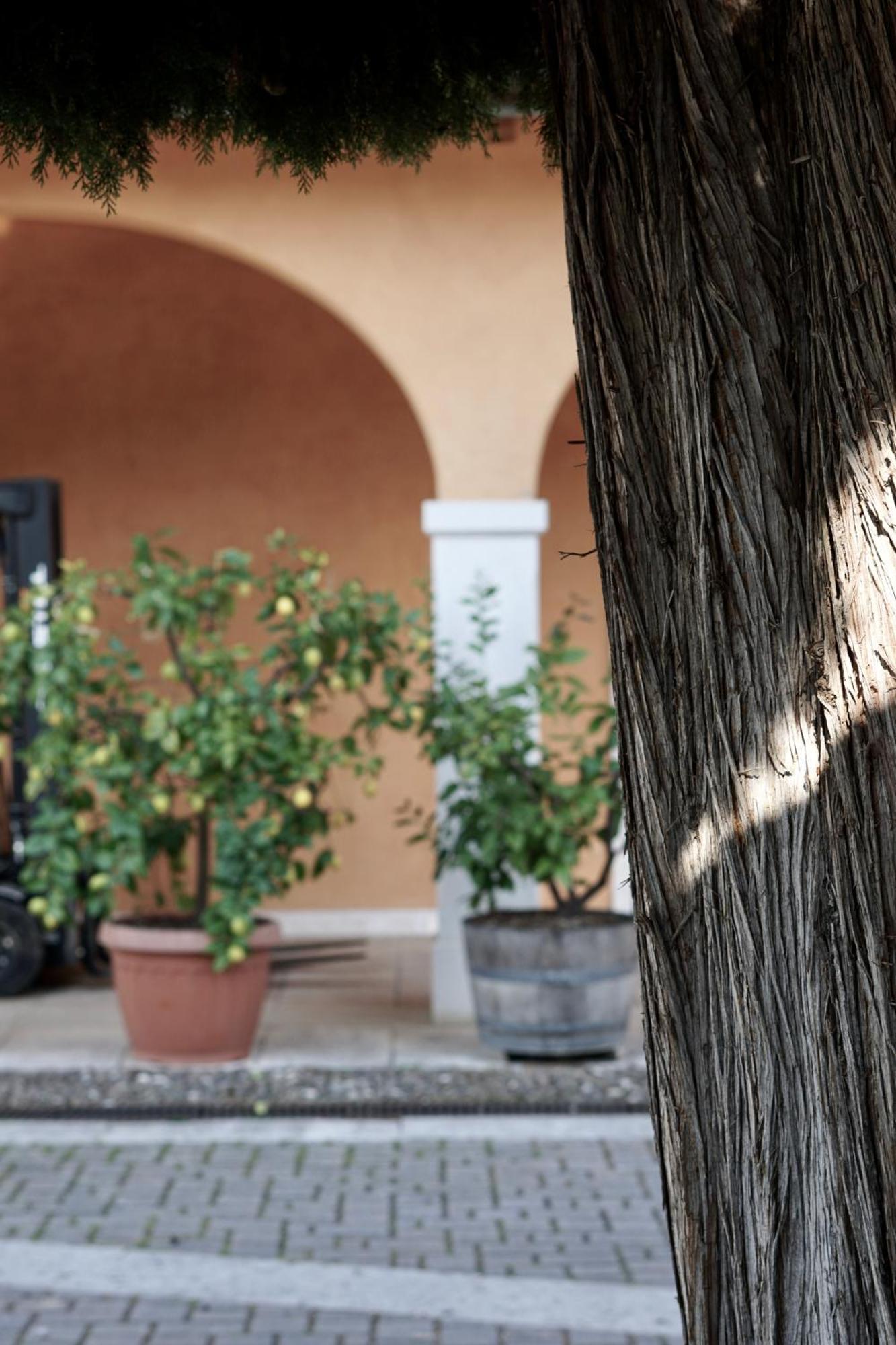 Agriturismo Valentina Cubi Фумане Екстер'єр фото