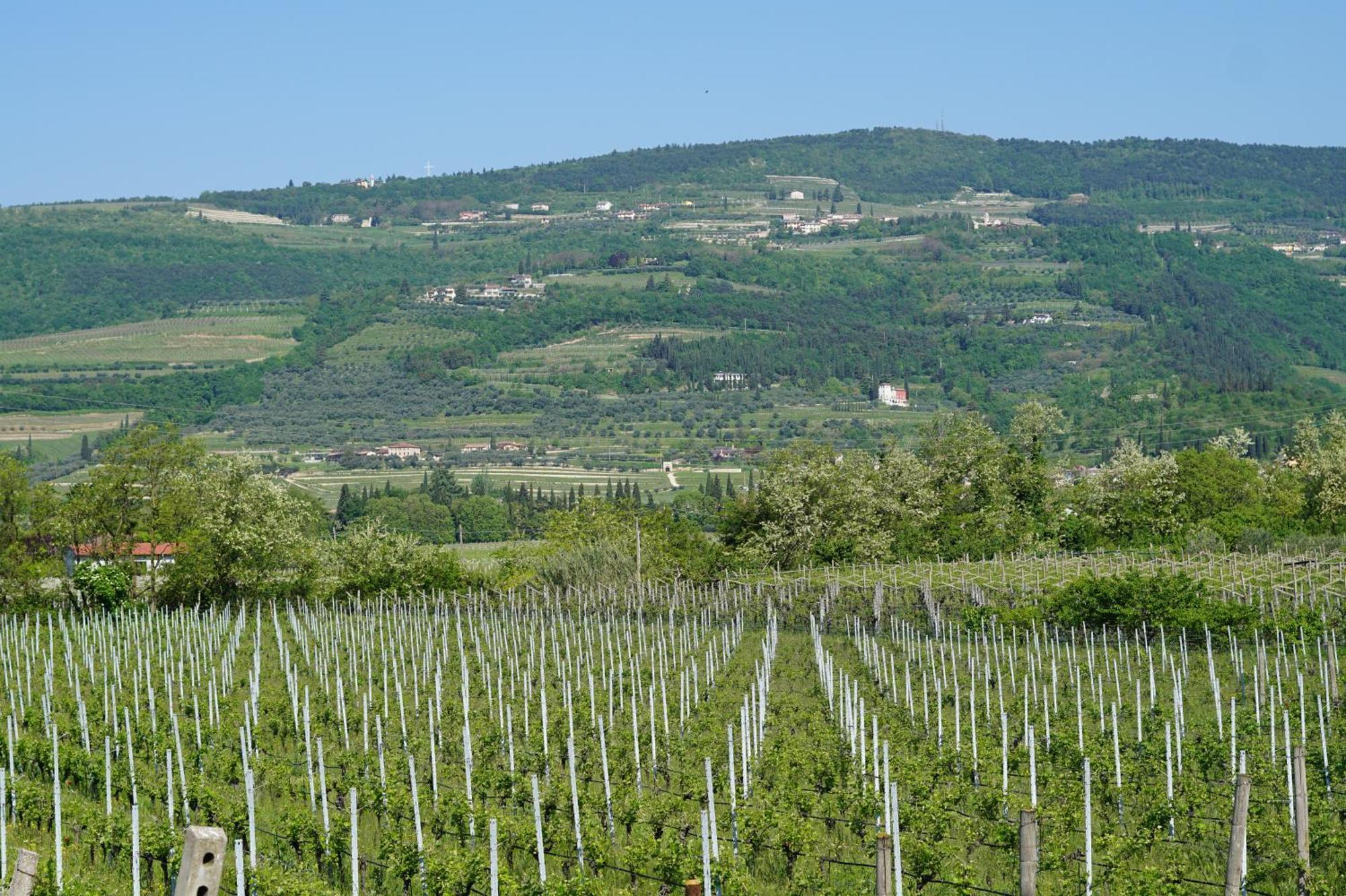 Agriturismo Valentina Cubi Фумане Екстер'єр фото